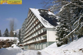 Apartment in Bad Mitterndorf - Steiermark 41116